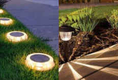 Desain Lampu Taman Rumah Minimalis untuk Suasana Malam yang Elegan!