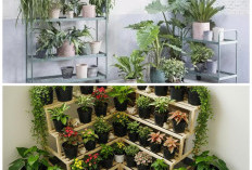 8 Inspirasi Rak Tanaman Unik untuk Ruang 2x1 Meter, Bikin Sudut Sempit Lebih Hijau dan Nyaman