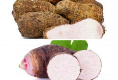 Jangan Remehkan Talas! Ini 9 Manfaat dan Kandungan Nutrisinya bagi Kesehatan