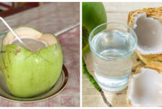 Air kelapa dikenal sebagai minuman alami yang menyegarkan, terutama saat cuaca panas.