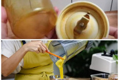 Blender Kuning Karena Kunyit? Begini Cara Praktis Menghilangkannya Tanpa Ribet!