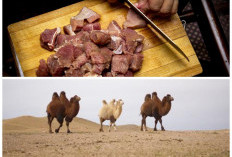 6 Manfaat Kesehatan dari Daging Unta yang Banyak Dikonsumsi Saat Umrah