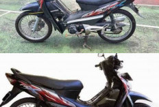 Honda Fit X, Sang Raja Motor Bebek Hemat BBM yang Tak Lekang Zaman