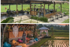 10 Konsep Desain Cafe Pinggir Sawah Paling Viral 2026 yang Menggabungkan Modernitas dan Keasrian Alam