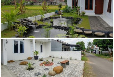Taman Rumah Desa Tanpa Rumput: Solusi Hemat, Tampilan Tetap Cantik dan Rapi