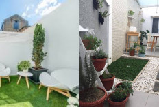 Tak Perlu Lahan Luas! Taman Minimalis Ini Cocok untuk Rumah Sempit