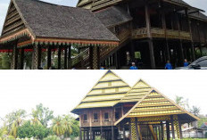 Menolak Lupa: Jejak Kolonial dan Simbol Perlawanan di Balik Megahnya Istana Kedatuan Luwu