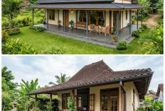7 Inspirasi Rumah Tipe 21 Minimalis Modern, Mungil tapi Tetap Estetik