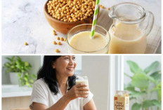 Susu Kedelai Jadi Minuman Sehat Favorit, Simak Khasiatnya untuk Tubuh dan Kesehatan Jantung