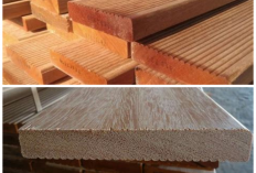 Kayu Bengkirai: Material Premium Tahan Rayap dan Cuaca Ekstrem untuk Konstruksi Tangguh