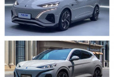 BYD Denza N7 Masuk Indonesia, Harga Lokal Jadi Senjata Utama