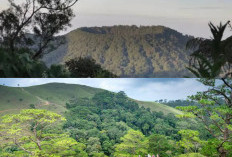 Gunung Lesung Bali, Destinasi Pendakian yang Wajib Dicoba dengan Keindahan Alam yang Masih Asri