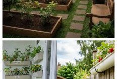 5 Ide Kebun Buah Kecil di Depan Rumah Seperti Taman Kafe untuk Ruang Terbatas