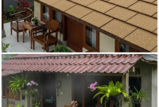 Ingin Teras Rumah Lebih Hening? Ini 9 Material Atap Peredam Suara Terbaik di Tahun 2026