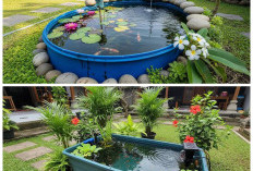 Tak Perlu Gali Tanah! 7 Model Kolam Ikan Praktis yang Bikin Rumah Makin Adem!