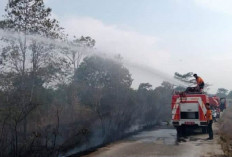 Kemarau Ancam Kekeringan di Pagar Alam, BPBD Ingatkan Bahaya Karhutla