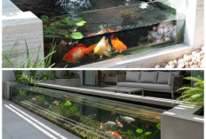Kolam Ikan Modern 2026: 8 Model Kaca Minimalis untuk Mempercantik Halaman Rumah
