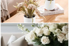 Ruang Tamu Terlihat Mahal: 15 Pilihan Bunga Hias yang Memberikan Kesan Mewah dan Elegan di Setiap Sudut