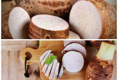Kaya Serat dan Vitamin, Inilah Beragam Manfaat Talas untuk Menjaga Kesehatan Tubuh