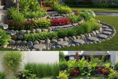 Solusi Rumah Anti Banjir: 8 Model Kebun Serapan Air yang Mudah Dibuat dan Ramah Lingkungan