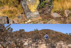 Menyingkap Benarkah 3 Makam Keramat di Gunung Lawu Sering Dijadikan Tempat Pemujaan?