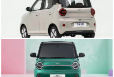 MPV Listrik Wuling Hongguang EV 2026: Solusi Hemat Energi dengan Harga Bersahabat