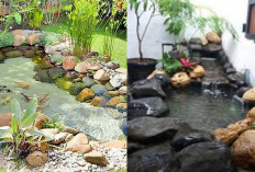 Desain Kolam Ikan Depan Rumah: Sentuhan Estetik dan Natural yang Menenangkan!