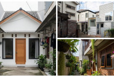 Sempit di Luar, Lapang di Dalam: 7 Desain Rumah Gang yang Nyaman dan Modern