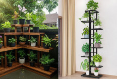 Rak Tanaman Bertingkat Tahan Cuaca, Solusi Hemat Tempat di Pekarangan!