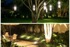 Taman Makin Menawan! Lampu Smart Sensor Ini Bisa Menyala Otomatis dan Lebih Irit Listrik