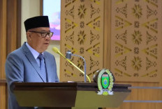 BUMD Energi Jadi Perseroda, Pemprov Sumsel Tekankan Penguatan Tata Kelola