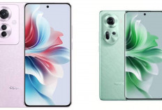 Serasa Pakai Kamera DSLR! Ini Alasan Kamera Portrait OPPO Reno 11 5G Bikin Penasaran