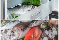 Ikan Tetap Awet Meski Tanpa Freezer, Simak Trik Penyimpanan Saat Listrik Padam