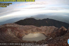 Gunung Dempo Masih Berstatus Waspada! Getaran Tremor Terekam, Wisatawan Dilarang Mendekat ke Pusat Kawah