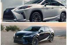 Lexus RX350 2026 Resmi Meluncur Global! Desain Sporty dan Fitur Teknologi Semakin Moder