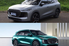 Dipaksa Jadi Mobil Listrik Murni! Segini Konsumsi Listrik Li Auto L8 PHEV Tanpa Setetes Bensin