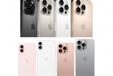 Apple Upgrade Total! Seri iPhone 16 Dibekali Sensor 48MP untuk Hasil Foto Lebih Tajam