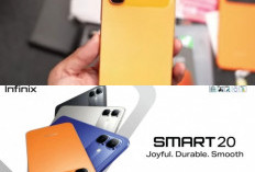 Rahasia Tersembunyi Infinix Smart 20: Apakah Ini Smartphone Murah Paling Sempurna