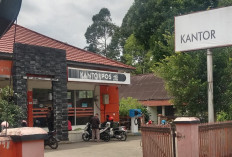 Western Union Alami Lonjakan Transaksi