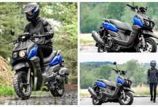 Gaya Unik dan Performa Andal, Yuk Intip Spesifikasi dan Harga Yamaha Zuma 125