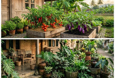 5 Ide Edible Garden Tropis yang Estetik, Bikin Rumah Adem dan Bisa Panen Sendiri