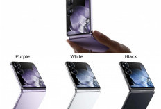 10 Rekomendasi Smartphone yang Cocok Buat Dibawa Selama Luar Biasa