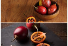 Kaya Vitamin C! Ini Manfaat Luar Biasa Terong Belanda untuk Kesehatan