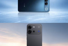Vivo V80 FE Terdaftar di SDPPI Indonesia, Sinyal Peluncuran Makin Dekat?