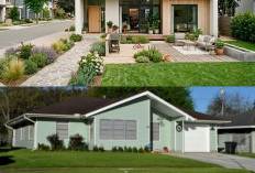 4 Inspirasi Desain Rumah Minimalis Tanpa Pagar yang Elegan dan Estetik: Solusi Praktis untuk Lahan Terbatas!