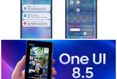Jadwal Rilis One UI Terbaru: Panduan Urutan Prioritas Update untuk Pengguna Samsung Galaxy