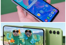 Samsung Galaxy A24 5G Kini Makin Terjangkau, Masih Layak Jadi Pilihan HP AMOLED di Kelas 3 Jutaan?