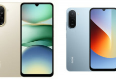 Review HP Redmi Terbaru: Cek Daftar Pilihan, Spesifikasi, Fitur, dan Harganya!