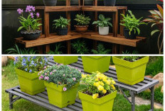 Solusi Pekarangan Rapi: Rak Tanaman Bertingkat yang Tahan Hujan dan Panas