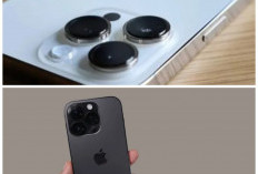 Turun Jauh! iPhone 14 Pro Max Second iBox Januari 2026 Resmi Masuk Kisaran Rp11 Jutaan